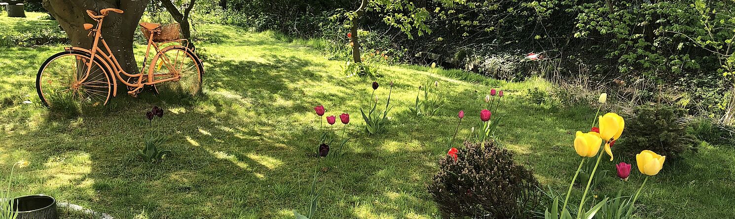 Garten des Hortes mit einem Fahrrad und Tulpen