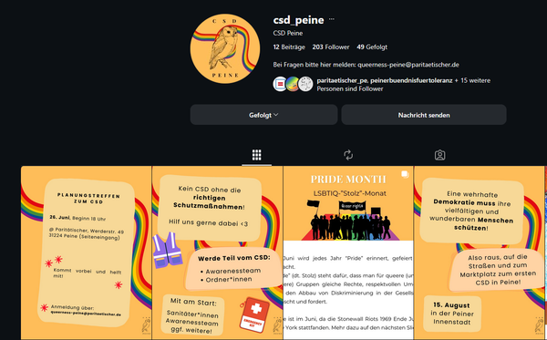 Screenshot von Instagram-Account: csd_peine. Zeigt das Profil und die letzten vier Beiträge des Accounts in einer kleinen Vorschau.