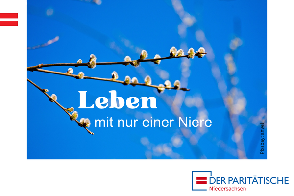 Auf einem blauen Hintergrund ist ein Ast mit drei Zweigen zu sehen. An diesem blühen Weidenkätzchen. Mittig steht in weißen Buchstaben der Text "Leben mit nur einer Niere"